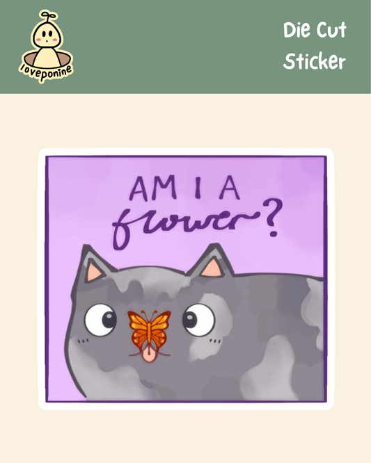 BUTTERFLY KITTY